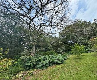 5.000 m2 lot for sale in Villas del Arroyo gated community 5.000 m2 lot for sale in Villas del Arroyo gated community