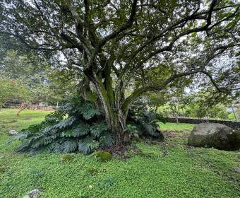 5.000 m2 lot for sale in Villas del Arroyo gated community 5.000 m2 lot for sale in Villas del Arroyo gated community