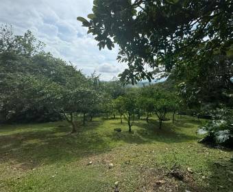 5.000 m2 lot for sale in Villas del Arroyo gated community 5.000 m2 lot for sale in Villas del Arroyo gated community