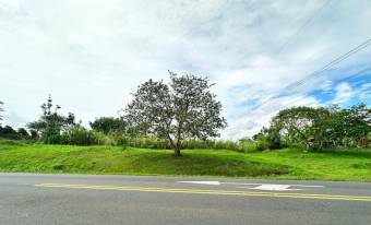 MLS-25-729 LS VENTA FINCA SAN PABLO HEREDIA