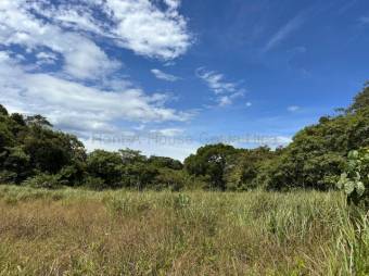  Venta de Lote en Residencial Turrúcares-Alajuela. RAH 27-507 USO DE SUELO AGRÍCOLA
