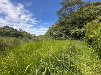  Venta de Lote en Residencial Turrúcares-Alajuela. RAH 27-507 USO DE SUELO AGRÍCOLA