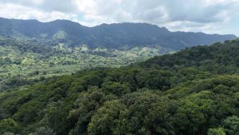 SE VENDE FINCA DE 425 HECTAREAS PARA DESARROLLO TURISTICO Y ECO-RESORT DE LUJO CERCA DE DOMINICAL