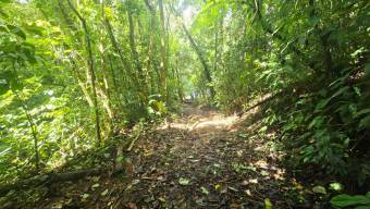 SE VENDE FINCA DE 425 HECTAREAS PARA DESARROLLO TURISTICO Y ECO-RESORT DE LUJO CERCA DE DOMINICAL