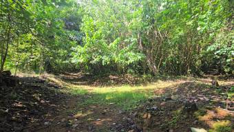 SE VENDE FINCA DE 425 HECTAREAS PARA DESARROLLO TURISTICO Y ECO-RESORT DE LUJO CERCA DE DOMINICAL