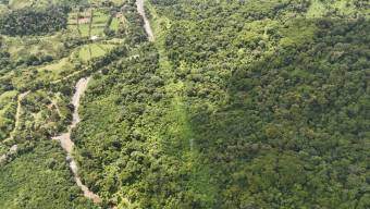 SE VENDE FINCA DE 425 HECTAREAS PARA DESARROLLO TURISTICO Y ECO-RESORT DE LUJO CERCA DE DOMINICAL