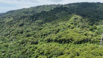 SE VENDE FINCA DE 425 HECTAREAS PARA DESARROLLO TURISTICO Y ECO-RESORT DE LUJO CERCA DE DOMINICAL