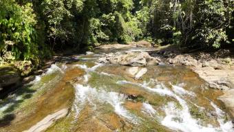 SE VENDE FINCA DE 425 HECTAREAS PARA DESARROLLO TURISTICO Y ECO-RESORT DE LUJO CERCA DE DOMINICAL