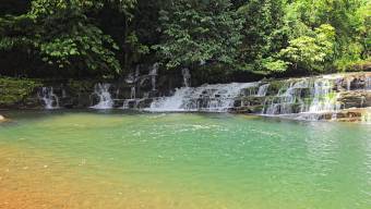 SE VENDE FINCA DE 425 HECTAREAS PARA DESARROLLO TURISTICO Y ECO-RESORT DE LUJO CERCA DE DOMINICAL