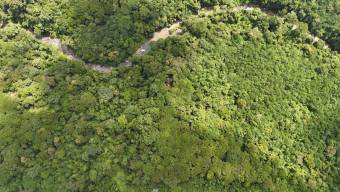 SE VENDE FINCA DE 425 HECTAREAS PARA DESARROLLO TURISTICO Y ECO-RESORT DE LUJO CERCA DE DOMINICAL