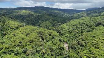 SE VENDE FINCA DE 425 HECTAREAS PARA DESARROLLO TURISTICO Y ECO-RESORT DE LUJO CERCA DE DOMINICAL