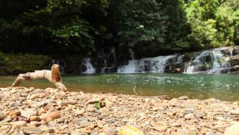 SE VENDE FINCA DE 425 HECTAREAS PARA DESARROLLO TURISTICO Y ECO-RESORT DE LUJO CERCA DE DOMINICAL