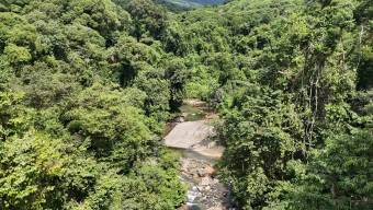 SE VENDE FINCA DE 425 HECTAREAS PARA DESARROLLO TURISTICO Y ECO-RESORT DE LUJO CERCA DE DOMINICAL