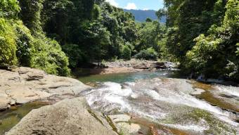 SE VENDE FINCA DE 425 HECTAREAS PARA DESARROLLO TURISTICO Y ECO-RESORT DE LUJO CERCA DE DOMINICAL