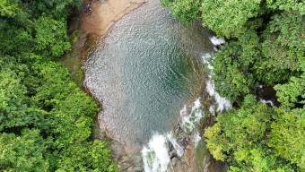 SE VENDE FINCA DE 425 HECTAREAS PARA DESARROLLO TURISTICO Y ECO-RESORT DE LUJO CERCA DE DOMINICAL