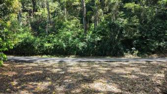 VENTA DE LOTE RESIDENCIAL Y TURISTICO DE 3.892 M2 EN SAN FRANCISCO DE RIVAS, PEREZ ZELEDON