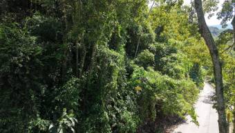 VENTA DE LOTE RESIDENCIAL Y TURISTICO DE 3.892 M2 EN SAN FRANCISCO DE RIVAS, PEREZ ZELEDON