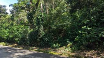 VENTA DE LOTE RESIDENCIAL Y TURISTICO DE 3.892 M2 EN SAN FRANCISCO DE RIVAS, PEREZ ZELEDON