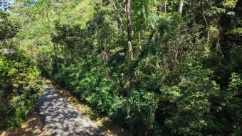 VENTA DE LOTE RESIDENCIAL Y TURISTICO DE 3.892 M2 EN SAN FRANCISCO DE RIVAS, PEREZ ZELEDON