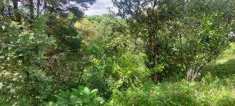 Se vende linda casa rodeada de naturaleza San Ramón de Tres Ríos Se vende linda casa rodeada de naturaleza San Ramón de Tres Ríos