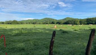 Flat  lot in La Garita Nueva