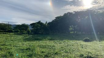 Flat  lot in La Garita Nueva