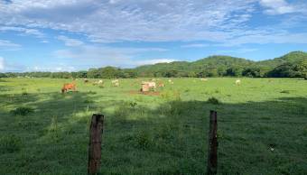 Flat  lot in La Garita Nueva