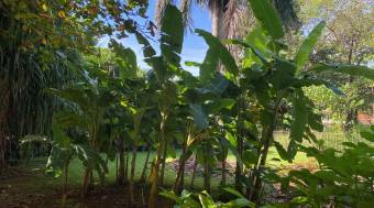 Terreno Residencial y Comercial
