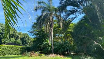 Terreno Residencial y Comercial
