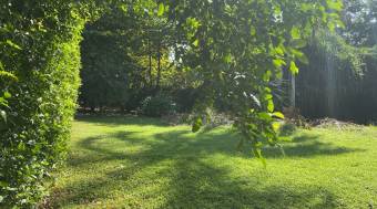 Terreno Residencial y Comercial