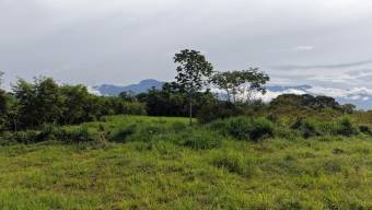 SE VENDE TERRENO LISTO PARA CONSTRUIR CON TOPOGRAFIA PLANA Y CERCA DE COMERCIOS SE VENDE TERRENO LISTO PARA CONSTRUIR CON TOPOGRAFIA PLANA Y CERCA DE COMERCIOS