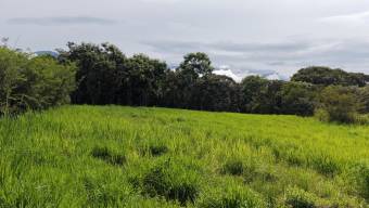SE VENDE TERRENO LISTO PARA CONSTRUIR CON TOPOGRAFIA PLANA Y CERCA DE COMERCIOS SE VENDE TERRENO LISTO PARA CONSTRUIR CON TOPOGRAFIA PLANA Y CERCA DE COMERCIOS