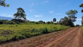 SE VENDE TERRENO LISTO PARA CONSTRUIR CON TOPOGRAFIA PLANA Y CERCA DE COMERCIOS SE VENDE TERRENO LISTO PARA CONSTRUIR CON TOPOGRAFIA PLANA Y CERCA DE COMERCIOS