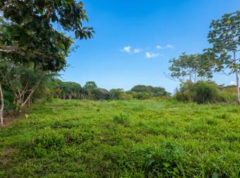 SE VENDE TERRENO LISTO PARA CONSTRUIR CON TOPOGRAFIA PLANA Y CERCA DE COMERCIOS SE VENDE TERRENO LISTO PARA CONSTRUIR CON TOPOGRAFIA PLANA Y CERCA DE COMERCIOS