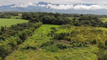 SE VENDE TERRENO LISTO PARA CONSTRUIR CON TOPOGRAFIA PLANA Y CERCA DE COMERCIOS SE VENDE TERRENO LISTO PARA CONSTRUIR CON TOPOGRAFIA PLANA Y CERCA DE COMERCIOS