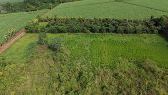 SE VENDE TERRENO LISTO PARA CONSTRUIR CON TOPOGRAFIA PLANA Y CERCA DE COMERCIOS SE VENDE TERRENO LISTO PARA CONSTRUIR CON TOPOGRAFIA PLANA Y CERCA DE COMERCIOS