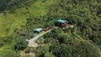 VENTA DE FINCA DE 1 HECTAREA CON CASA, RANCHO Y PISCINA EN LA GUARIA, SAN ISIDRO DE PEREZ ZELEDON