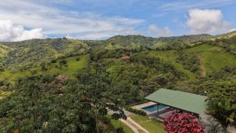 VENTA DE FINCA DE 1 HECTAREA CON CASA, RANCHO Y PISCINA EN LA GUARIA, SAN ISIDRO DE PEREZ ZELEDON