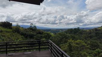 VENTA DE FINCA DE 1 HECTAREA CON CASA, RANCHO Y PISCINA EN LA GUARIA, SAN ISIDRO DE PEREZ ZELEDON