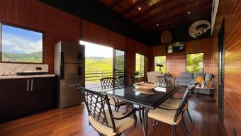 VENTA DE FINCA DE 1 HECTAREA CON CASA, RANCHO Y PISCINA EN LA GUARIA, SAN ISIDRO DE PEREZ ZELEDON