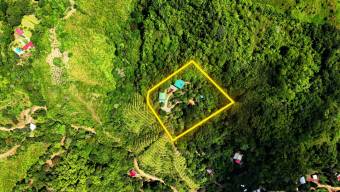 VENTA DE FINCA DE 1 HECTAREA CON CASA, RANCHO Y PISCINA EN LA GUARIA, SAN ISIDRO DE PEREZ ZELEDON