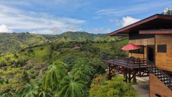 VENTA DE FINCA DE 1 HECTAREA CON CASA, RANCHO Y PISCINA EN LA GUARIA, SAN ISIDRO DE PEREZ ZELEDON