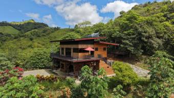 VENTA DE FINCA DE 1 HECTAREA CON CASA, RANCHO Y PISCINA EN LA GUARIA, SAN ISIDRO DE PEREZ ZELEDON