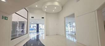 ALQUILER DE CASA COMERCIAL, SAN JOSE, ROHRMOSER - 10322796