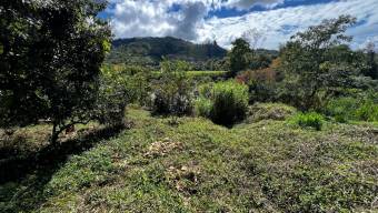 SE VENDE TERRENO IDEAL PARA PROYECTO RESIDENCIAL O REFUGIO TURISTICO FRENTE AL RIO