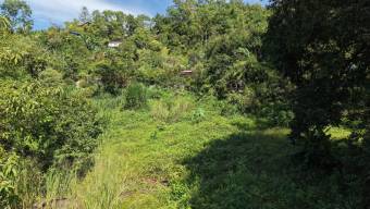 SE VENDE TERRENO IDEAL PARA PROYECTO RESIDENCIAL O REFUGIO TURISTICO FRENTE AL RIO