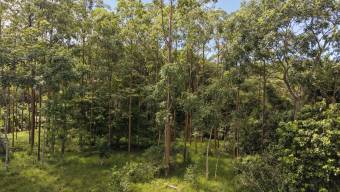 SE VENDE TERRENO LISTO PARA CONSTRUIR CON ARROYO NATURAL Y VISTAS A LAS MONTAÑAS