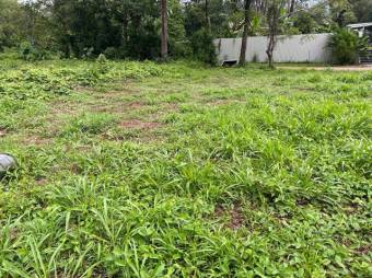 Venta de Lote en Osa Bahia-Ballena. RAH 27-592 Venta de Lote en Osa Bahia-Ballena. RAH 27-592