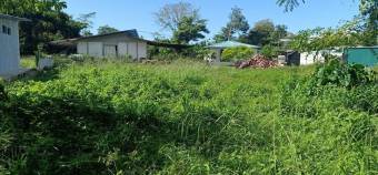 Venta de Lote en Osa Bahia-Ballena. RAH 27-592