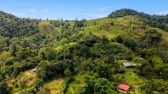 SE VENDE FINCA SOSTENIBLE CON ACCESO A RIO Y VISTAS A CHIRRIPO